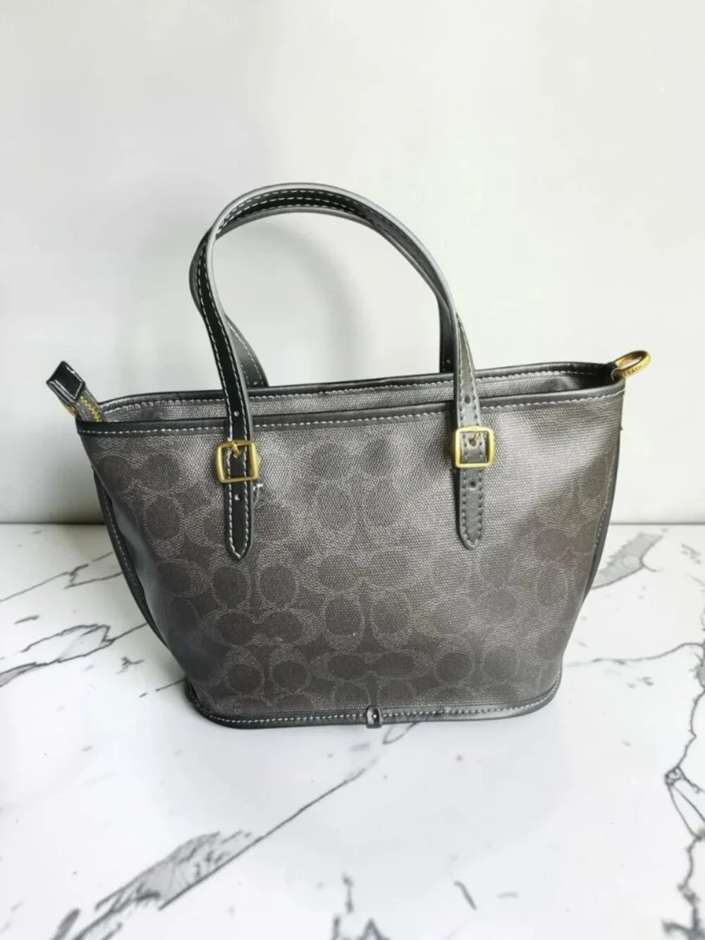 Coach classic mini